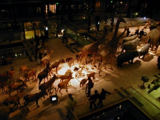 Animaux_Musee_3