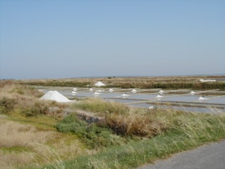 Marais_salant_2