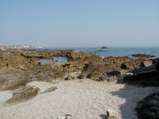 Maree_basse_1