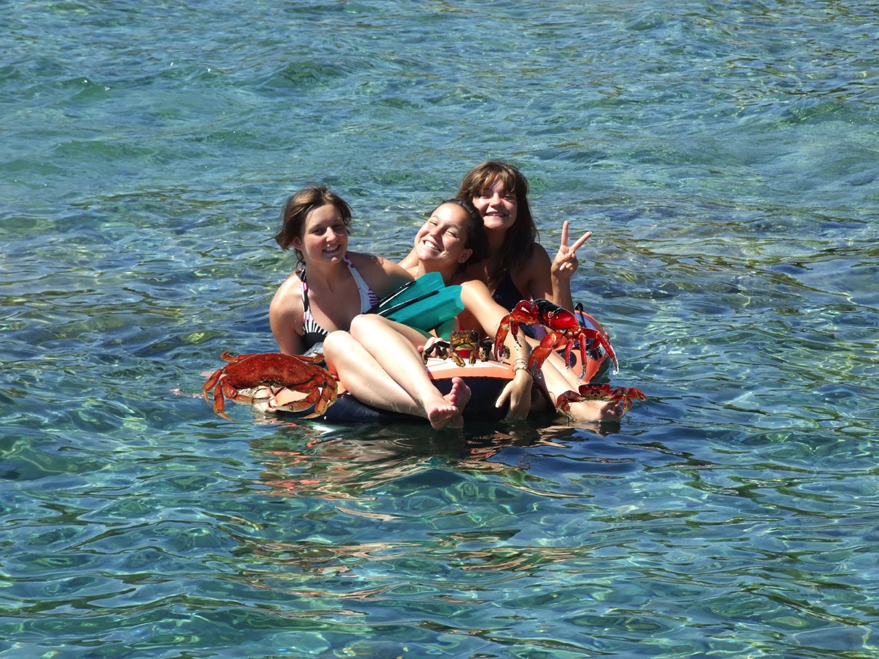 DSCF0381a