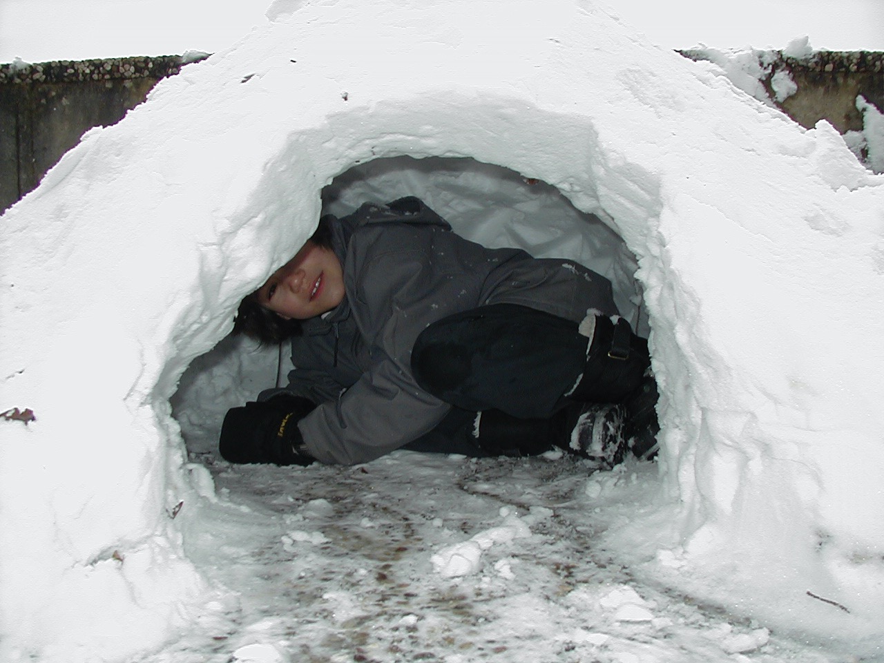 Igloo_1