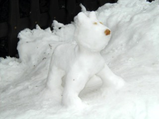 Chien_neige_1