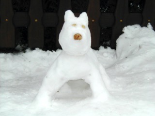 Chien_neige_2
